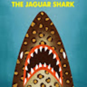 Meet your Posher, Jeff